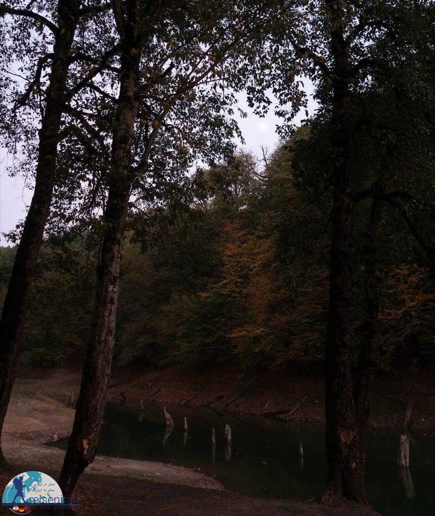 دریاچه چورت در جنگل