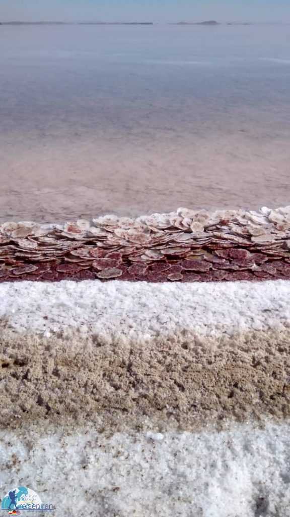 ساحل خاص دریاچه ارومیه