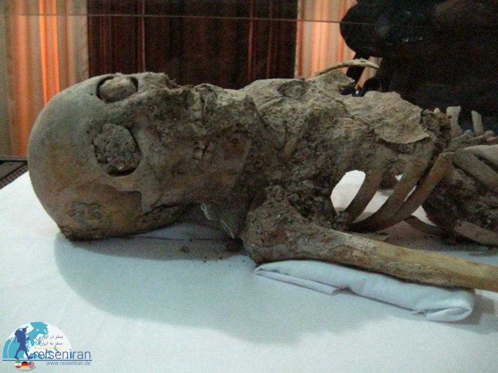 اسکلت باستانی موزه زنجان
