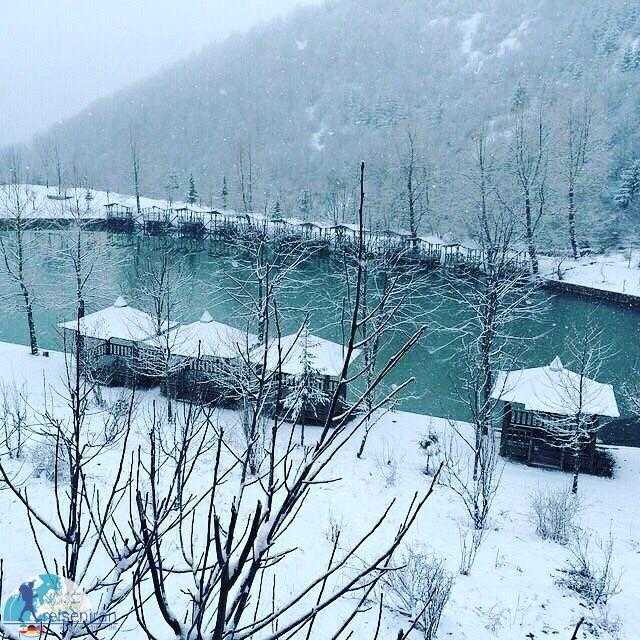 دریاچه قو در زمستان