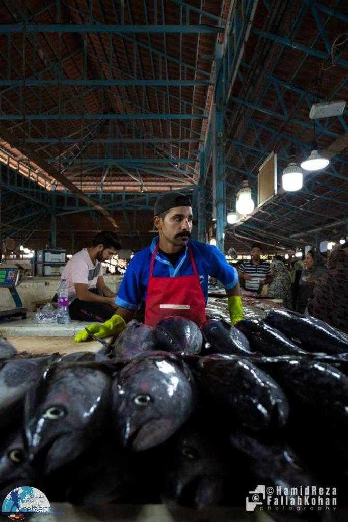 عکس بازار ماهی فروشان بندرعباس