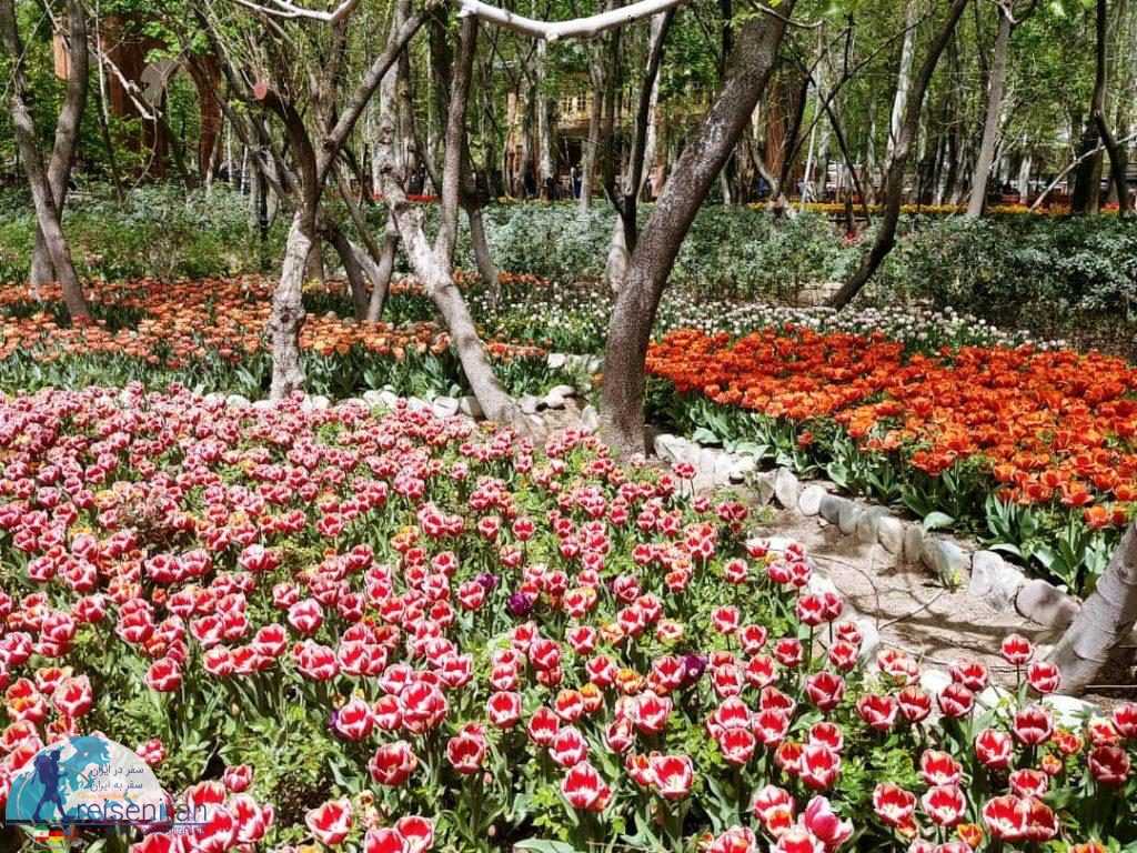 گل های باغ ایرانی