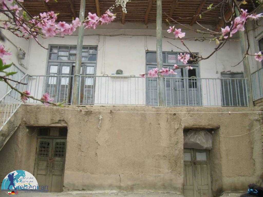 شکوفه های بهاری در خانه قدیمی گلپایگان
