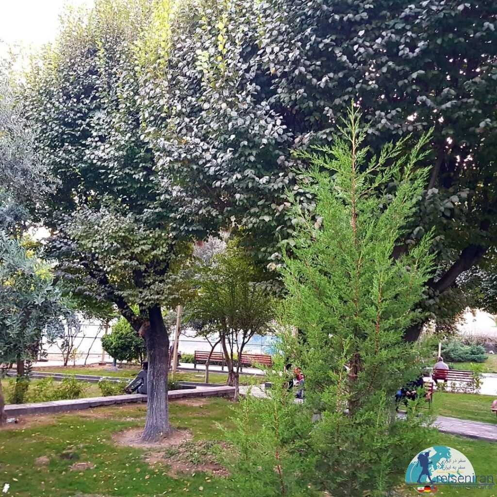 درختان بوستان دانشجو