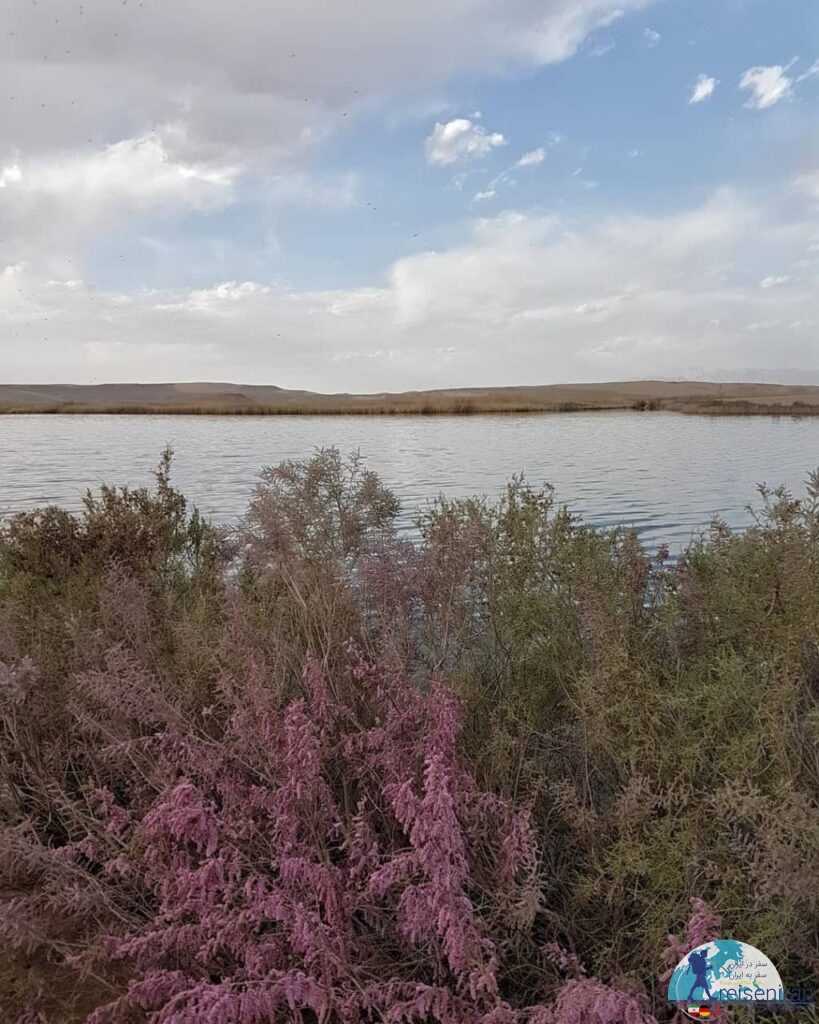 طبیعت اطراف دریاچه کویر یزد