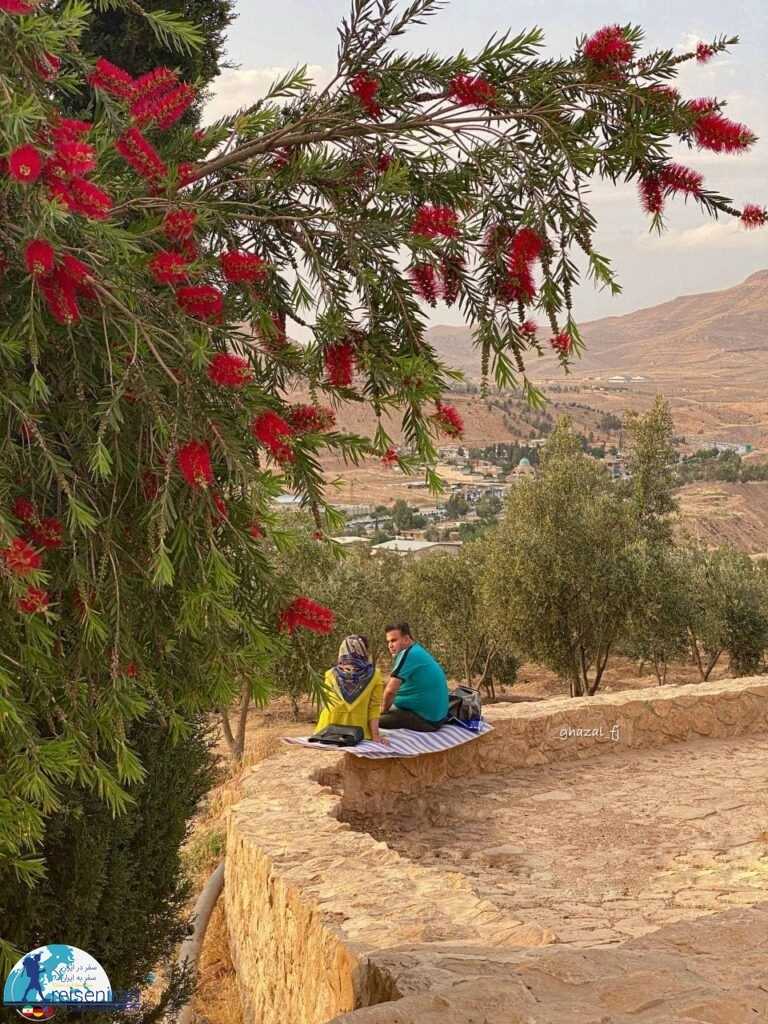 طبیعت بام شیراز و استراحت شهروندان