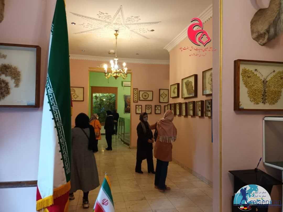 سالن موزه حیات وحش و آثار طبیعی هفت چنار تهران