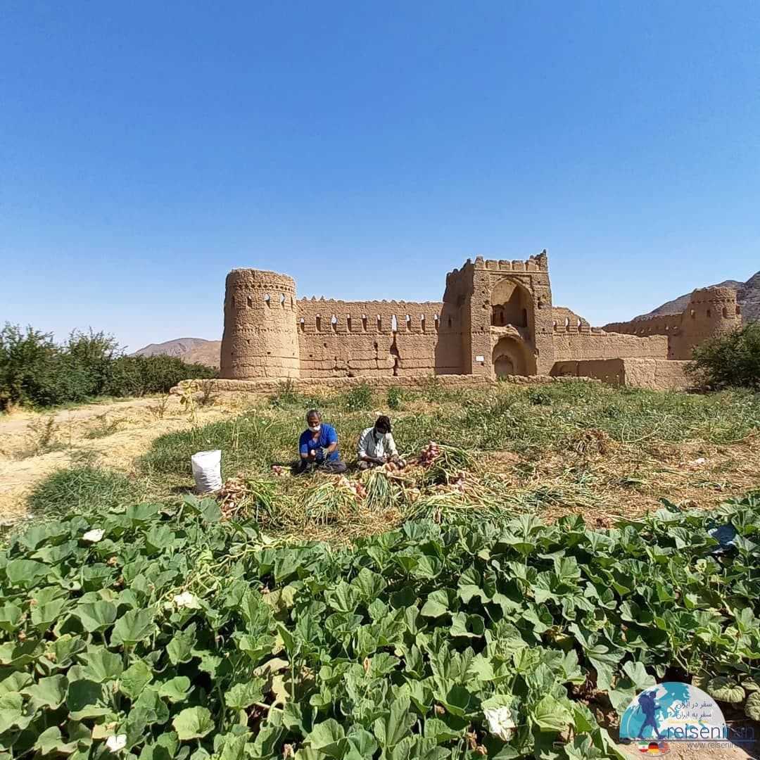 مزارع کشاورزی چسبیده به قلعه حسینی