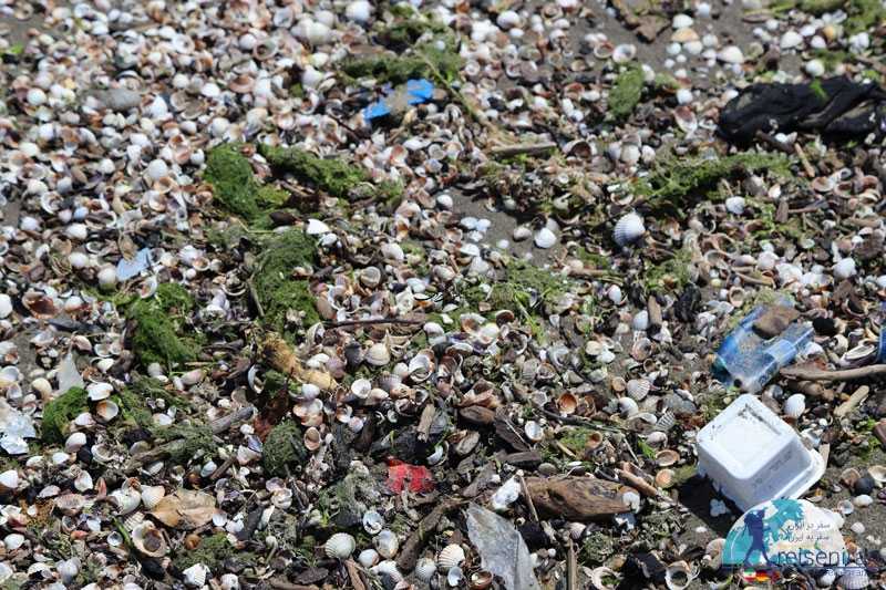 زباله های رها شده در ساحل