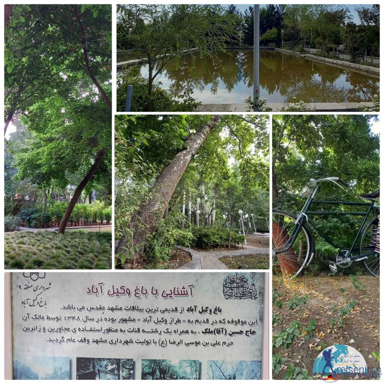 پارک باغ وکیل آباد مشهد