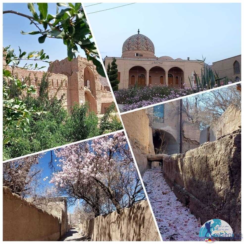 تفت ، راهنمای سفر، سوغات و جاهای دیدنی تفت - سفر در ایران